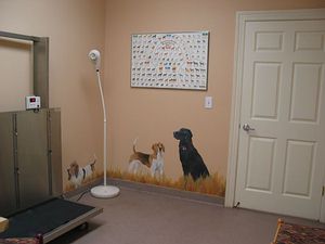 Canine exam room