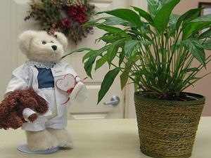 picture of stuffed animal bear at reception desk