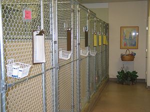 picture of our kennels