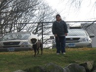 picture of kennel tech walking a dog