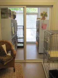 cat ward