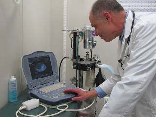 Dr. Jim examines a digital ultrasound image Dr. Jim examines a digital ultrasound image