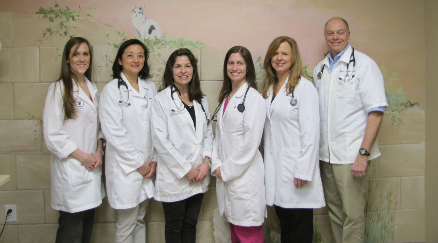 The Quarry Ridge Animal Hospital doctors The Quarry Ridge Animal Hospital doctors