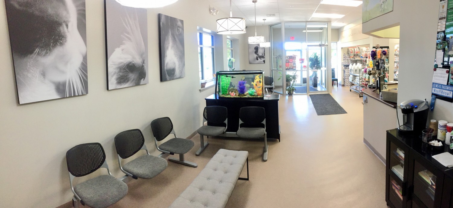 Quarry Ridge Animal Hospital Waiting Room