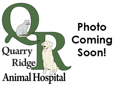 Photo coming soon!