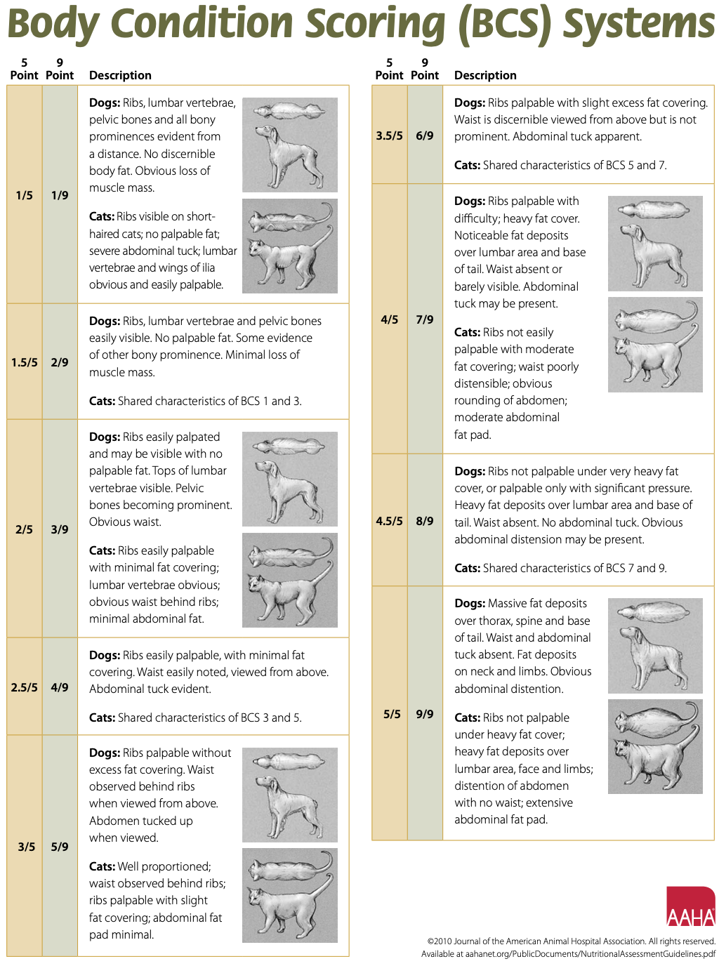 Body Condition Scoring Systems for Dogs and Cats - AAHA Body Condition Scoring Systems for Dogs and Cats - AAHA