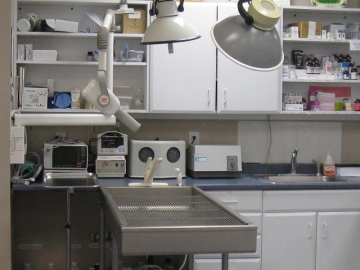 Picture of our dental suite