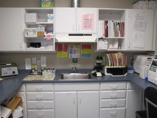 Quarry Ridge Animal Hospital Lab